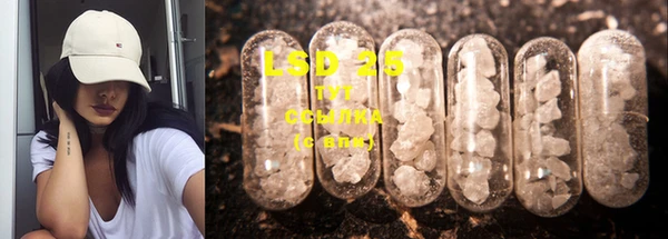 СК Осинники