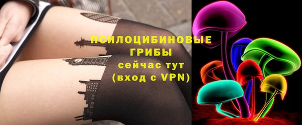 СК Осинники