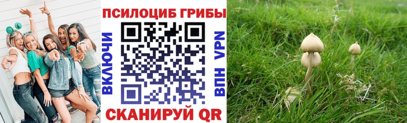 Псилоцибиновые грибы MAGIC MUSHROOMS  Купить  Кемерово 